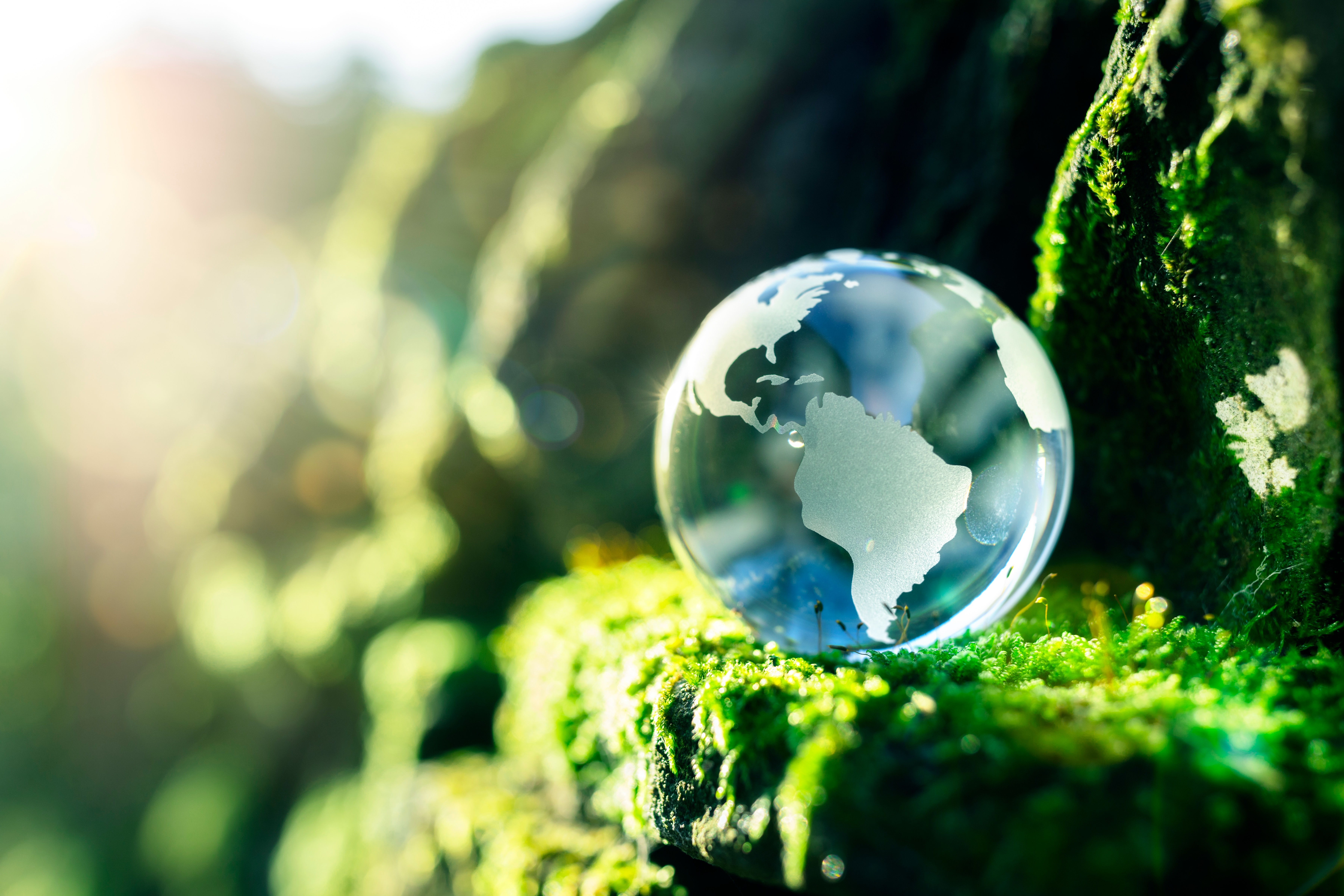 Environment Glass Globe